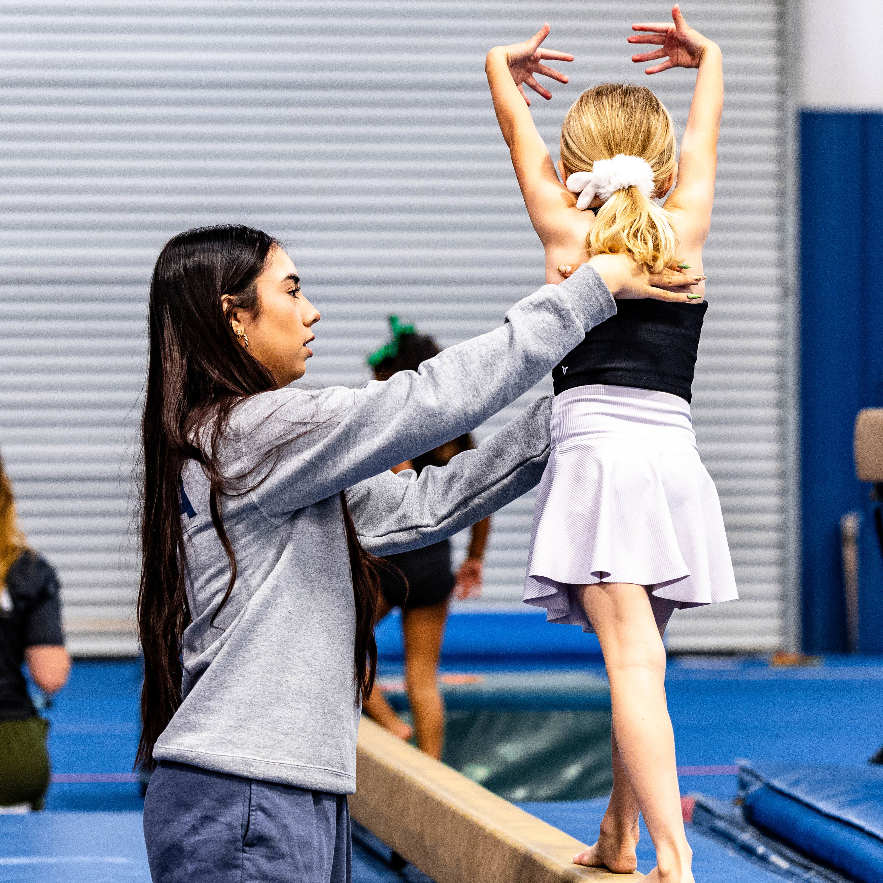 Performance Program Image